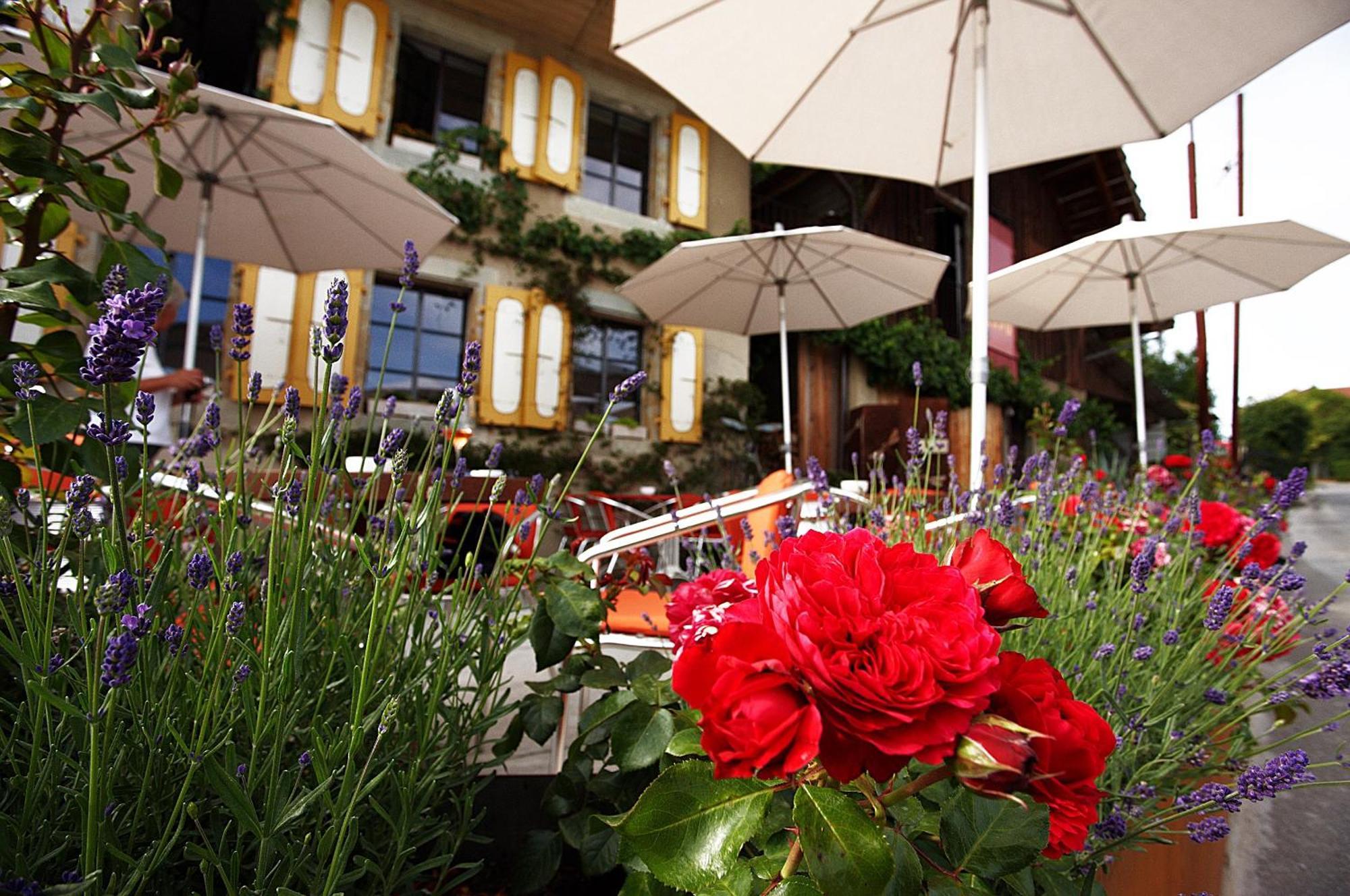Bnb Belle5 Vully-les-Lacs Bagian luar foto